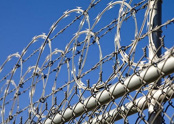 ODM Razor Mesh Wire